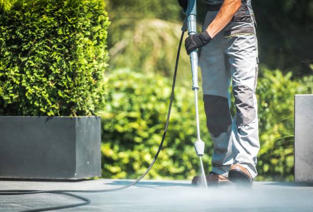 Best Building Exterior Washing  in Algonquin, IL