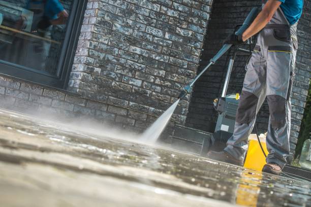 Best Dumpster Area Cleaning  in Algonquin, IL