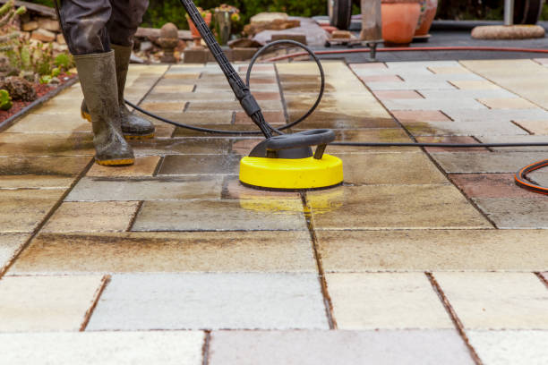 Best Gutter Cleaning  in Algonquin, IL