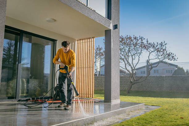 Best Fence Cleaning  in Algonquin, IL