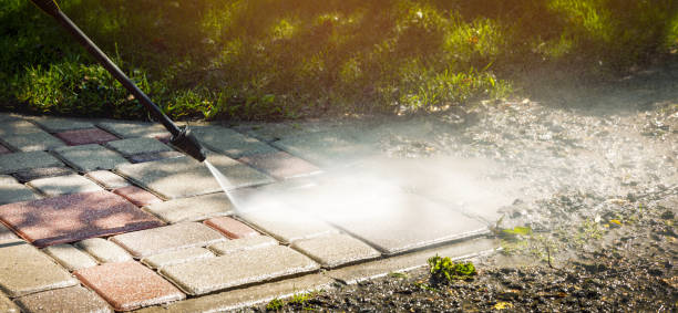 Best Rust Removal  in Algonquin, IL