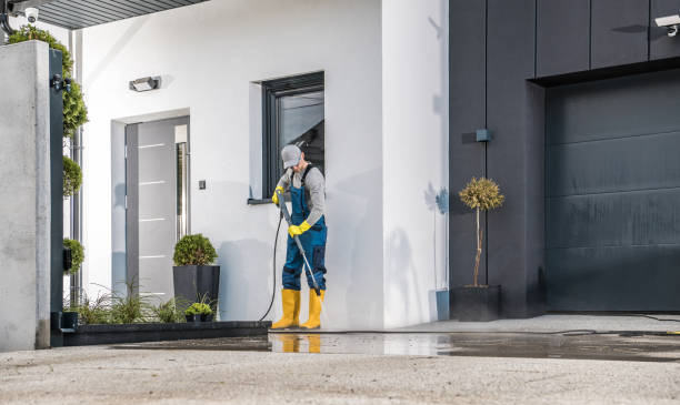 Best Soft Washing  in Algonquin, IL